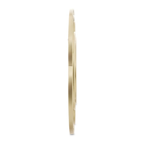 AICO Furniture Camellia Field Wall Mirror in Warm Pecan - Visions in Furniture (La Mirada, CA)
