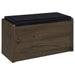 Arrington Shoe Cabinet - Visions in Furniture (La Mirada, CA)
