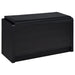 Arrington Shoe Cabinet - Visions in Furniture (La Mirada, CA)