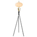 Layton Floor Lamps - Visions in Furniture (La Mirada, CA)