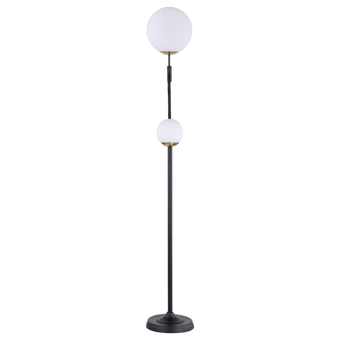 Dacki Floor Lamp - Visions in Furniture (La Mirada, CA)