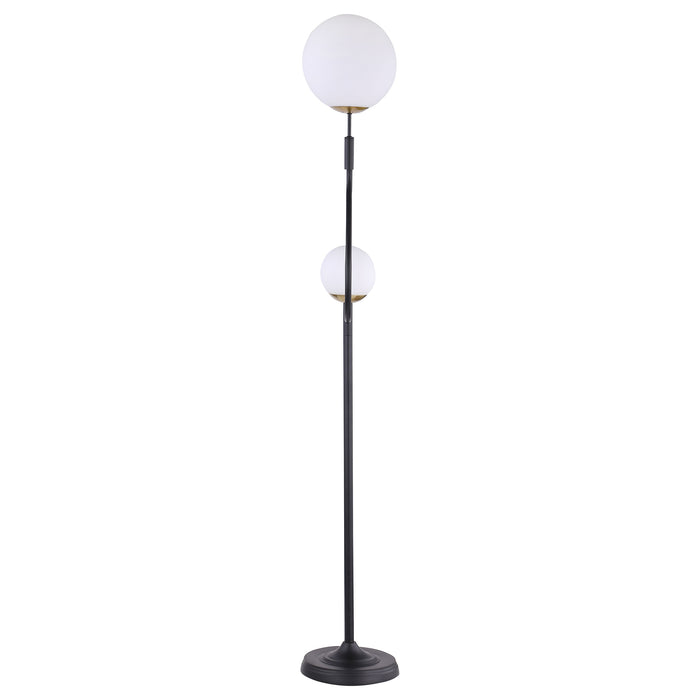 Dacki Floor Lamp - Visions in Furniture (La Mirada, CA)