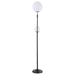 Dacki Floor Lamp - Visions in Furniture (La Mirada, CA)