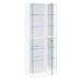 Cabra Curio Cabinet - Visions in Furniture (La Mirada, CA)