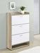 Denia Shoe Cabinet - Visions in Furniture (La Mirada, CA)