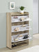 Denia Shoe Cabinet - Visions in Furniture (La Mirada, CA)