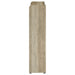 Denia Shoe Cabinet - Visions in Furniture (La Mirada, CA)