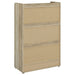 Denia Shoe Cabinet - Visions in Furniture (La Mirada, CA)