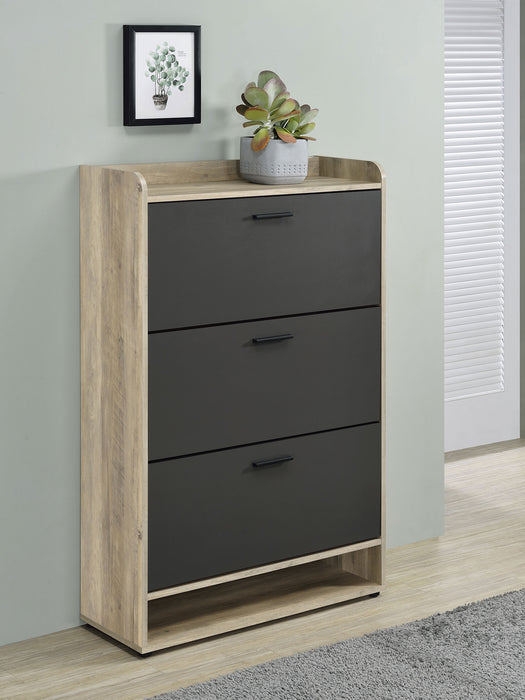 Denia Shoe Cabinet - Visions in Furniture (La Mirada, CA)