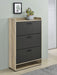 Denia Shoe Cabinet - Visions in Furniture (La Mirada, CA)