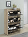 Denia Shoe Cabinet - Visions in Furniture (La Mirada, CA)