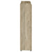 Denia Shoe Cabinet - Visions in Furniture (La Mirada, CA)