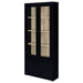 Hawthorne Accent Cabinet - Visions in Furniture (La Mirada, CA)