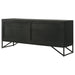Riddell Accent Cabinets - Visions in Furniture (La Mirada, CA)