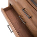 Brooklyn Walk Chest in Burnt Umber - Visions in Furniture (La Mirada, CA)
