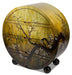 Illusions Round Chest image