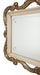 Platine de Royale Wall Mirror in Champagne - Visions in Furniture (La Mirada, CA)