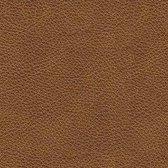 Carianna Sofa Sleeper - Visions in Furniture (La Mirada, CA)