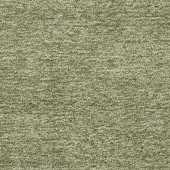 Tamish Throw - Visions in Furniture (La Mirada, CA)