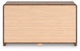 Fortlorn Dresser and Mirror - Visions in Furniture (La Mirada, CA)