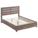 Brantford Eastern King & Queen Panel Bed Barrel Oak - Visions in Furniture (La Mirada, CA)