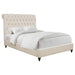 Devon Queen Beds - Visions in Furniture (La Mirada, CA)