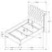 Devon Queen Beds - Visions in Furniture (La Mirada, CA)