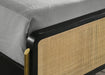 Arini Queen Bed - Visions in Furniture (La Mirada, CA)