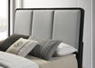 Arini Queen Bed - Visions in Furniture (La Mirada, CA)