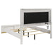 Caraway Queen Bed - Visions in Furniture (La Mirada, CA)