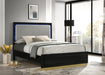 Caraway Queen Bed - Visions in Furniture (La Mirada, CA)