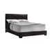 Conner Queen Upholstered Panel Bed Black and Dark Brown - Visions in Furniture (La Mirada, CA)