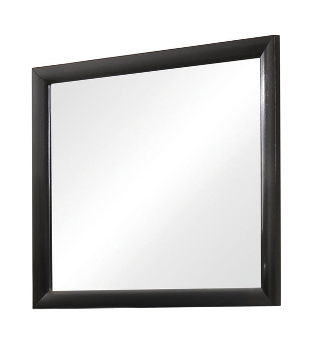 Briana Rectangle Dresser Mirror Black - Visions in Furniture (La Mirada, CA)