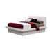 Jessica California King, E.king, & Queen Bed with Storage Headboard Cappuccino - Visions in Furniture (La Mirada, CA)