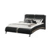 Jeremaine Queen Upholstered Bed Black - Visions in Furniture (La Mirada, CA)