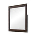 Edmonton Dresser Mirror Rustic Tobacco - Visions in Furniture (La Mirada, CA)
