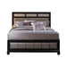 Barzini Queen Upholstered Bed Black and Grey - Visions in Furniture (La Mirada, CA)