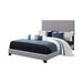 Boyd California King, King, & Queen Upholstered Bed with Nailhead Trim Charcoal & Grey - Visions in Furniture (La Mirada, CA)