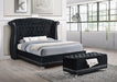 Barzini California King Tufted Upholstered Bed Black - Visions in Furniture (La Mirada, CA)