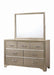 Beaumont Rectangular Dresser Mirror Champagne - Visions in Furniture (La Mirada, CA)
