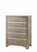 Beaumont 5-drawer Rectangular Chest Champagne - Visions in Furniture (La Mirada, CA)