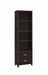 Lewes 2-drawer Media Tower Cappuccino - Visions in Furniture (La Mirada, CA)