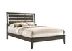 Serenity Eastern King Panel Bed Mod Grey - Visions in Furniture (La Mirada, CA)