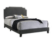 Tamarac Upholstered Nailhead Full, Eastern King & Queen Bed Beige & Grey - Visions in Furniture (La Mirada, CA)