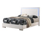 Felicity Full Panel Bed with LED Lighting Glossy White - Visions in Furniture (La Mirada, CA)