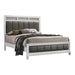 Barzini Eastern King Upholstered Panel Bed White - Visions in Furniture (La Mirada, CA)