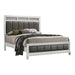 Barzini California King Upholstered Panel Bed White - Visions in Furniture (La Mirada, CA)