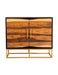 Zara 2-door Accent Cabinet Black Walnut and Gold - Visions in Furniture (La Mirada, CA)