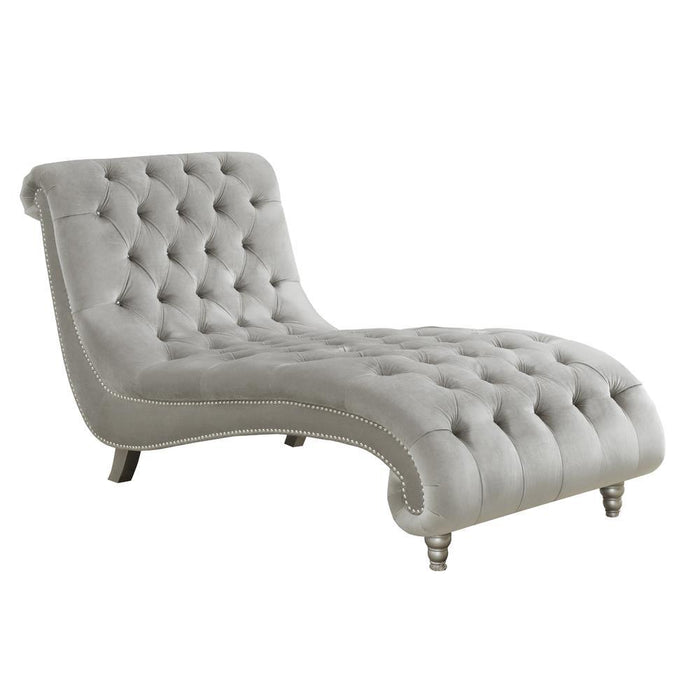 Lydia Tufted Cushion Chaise with Nailhead Trim Grey - Visions in Furniture (La Mirada, CA)