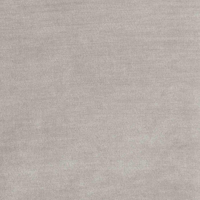 Lydia Tufted Cushion Chaise with Nailhead Trim Grey - Visions in Furniture (La Mirada, CA)